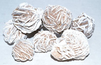 (image for) 1 Lb Desert Rose