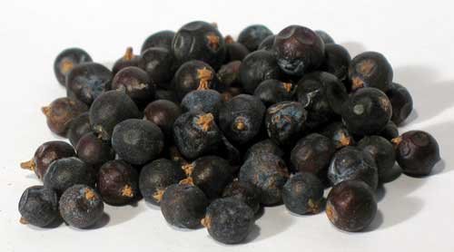 (image for) Juniper Berries whole 1oz - Click Image to Close