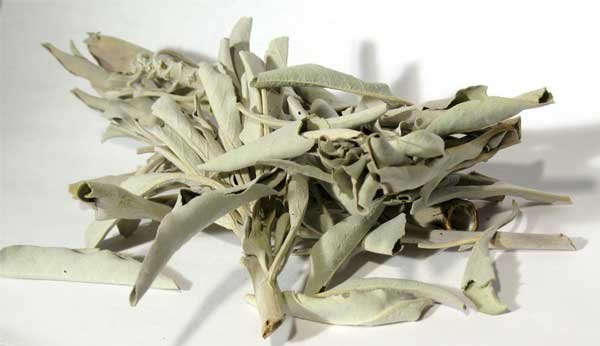 (image for) 1 Lb White Sage - Click Image to Close